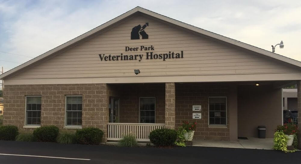 Deer Park Veterinary Hospital : Top Rated Cincinnati Veterinarians
