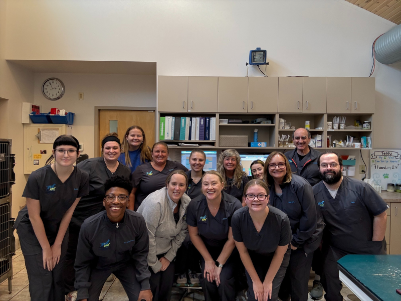 Veterinary team at Deer Park Vet Hospital