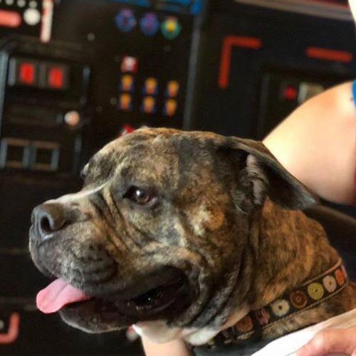 16 Bit Bar & Arcade 16 Bit Bar & Arcade