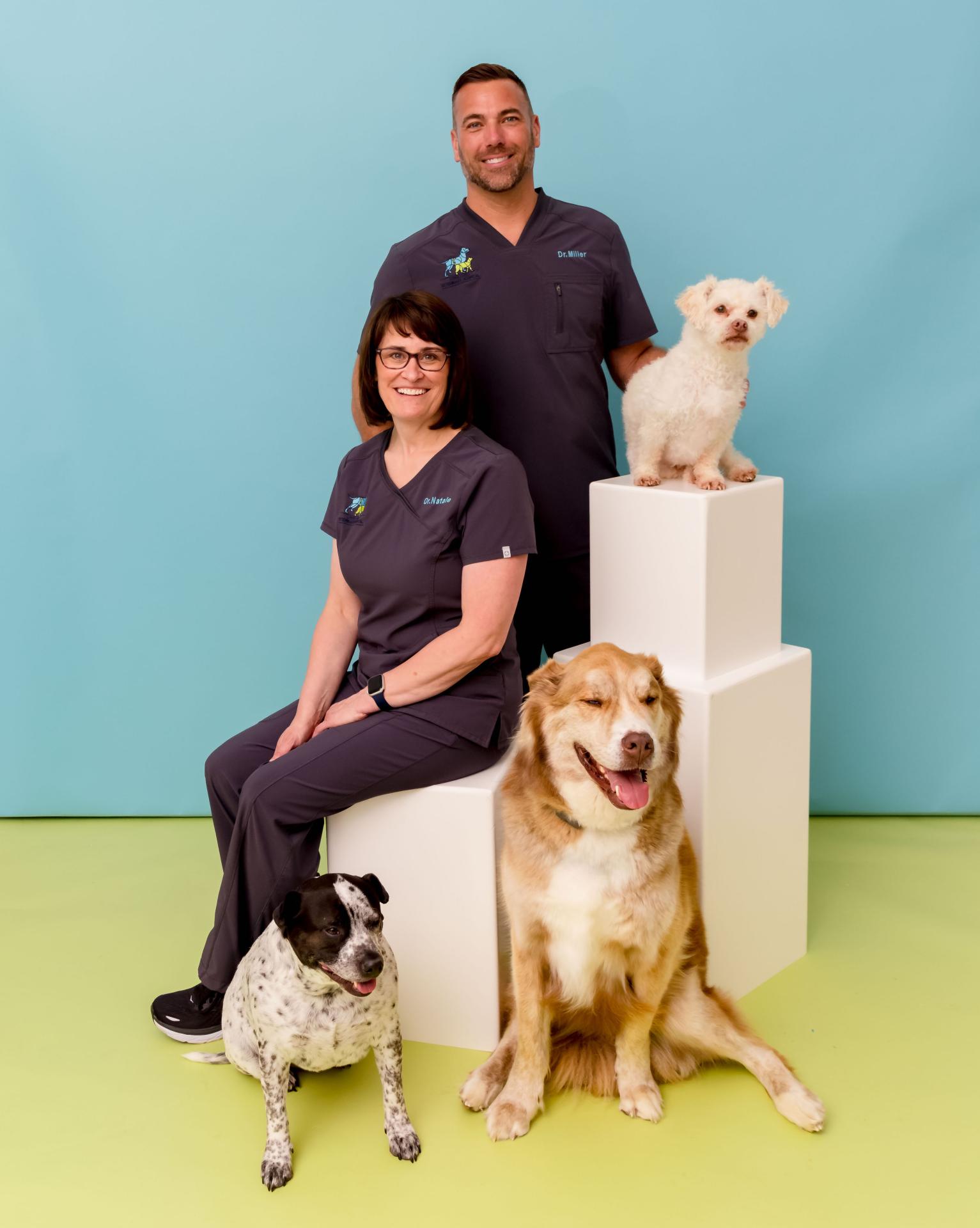 Deer Park Veterinarians