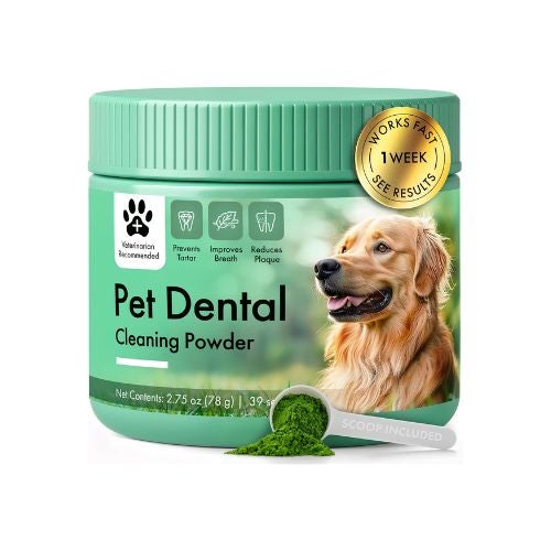 Dental Cleaning Powder