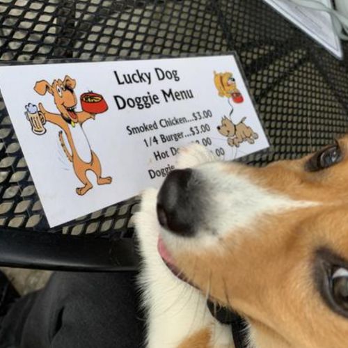 Lucky Dog Grille Lucky Dog Grille