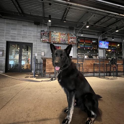 MadTree Brewing MadTree Brewing