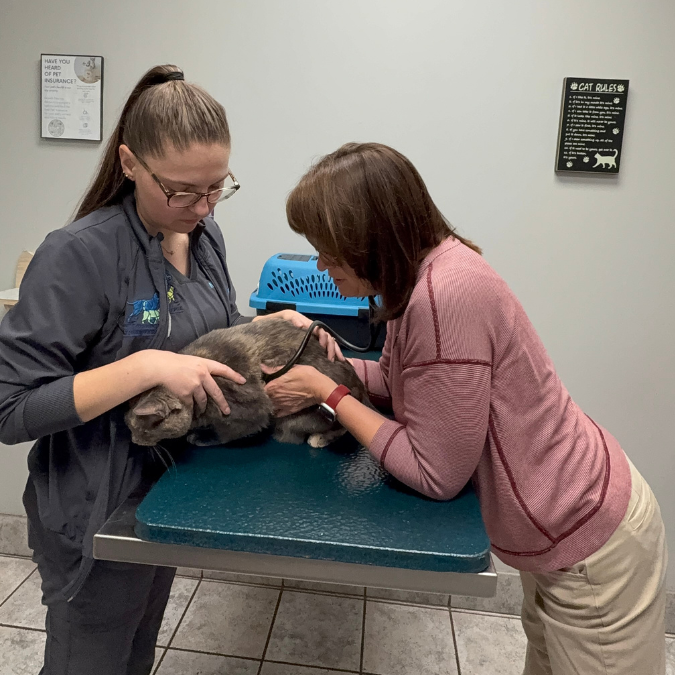 Dr. Natale and Nicole doing an exam on a cat