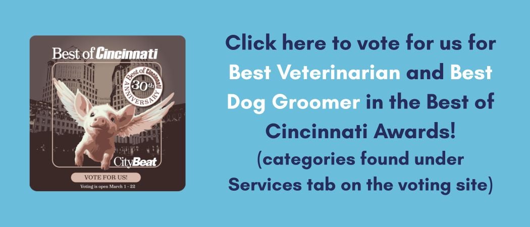 Vote for Us for Best of Cincinnati
