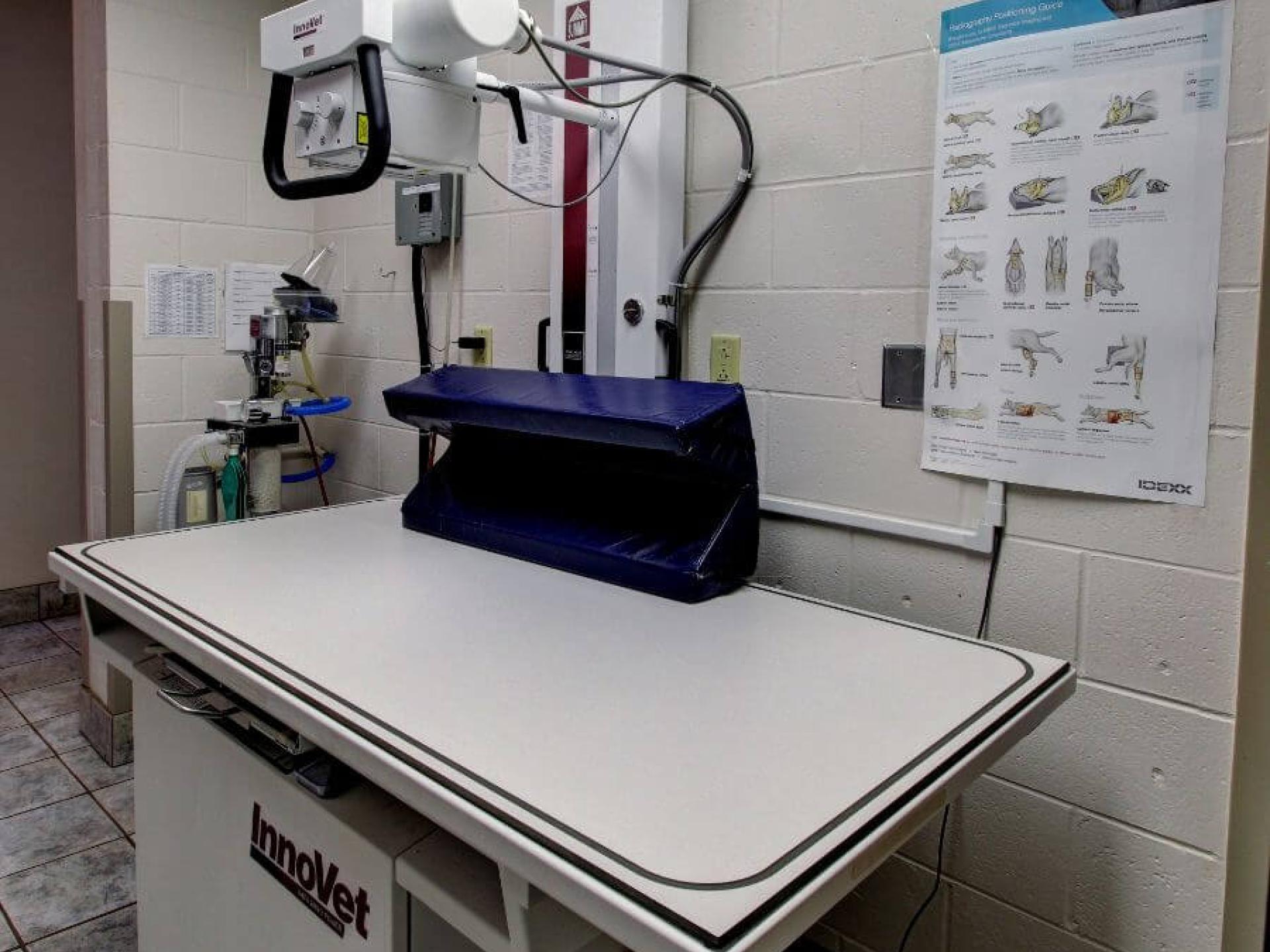 Diagnostics Deer Park Veterinary Hospital